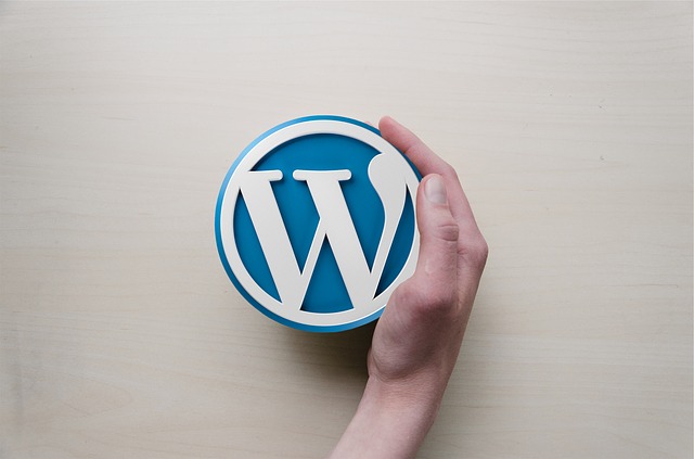 Prečo je WordPress jednotkou medzi nástrojmi na tvorbu webových stránok